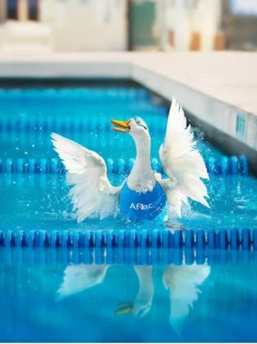 aflac3.jpeg